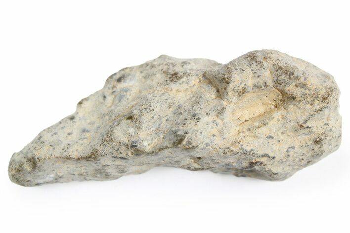 Lunar Meteorite ( g) - NWA #263814